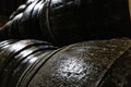 Old wooden barrels for whiskey or wine