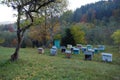 Old wooden beehives in the yard in Carpathian mountains, Ukraine Royalty Free Stock Photo