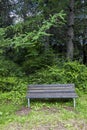 Old wooden bench in abandoned park Royalty Free Stock Photo