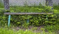 Old wooden bench in abandoned park Royalty Free Stock Photo