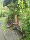 old wooden bench along the garden pathway. Royalty Free Stock Photo