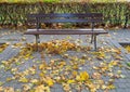 Old wooden bench in autumn park, outdoor chair, urban public furniture, empty plank seat, comfortable bench Royalty Free Stock Photo