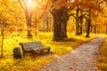 Old wooden bench in the autumn park under colorful autumn trees with golden leaves Royalty Free Stock Photo