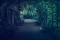 Old wooden bench. A bench in the park. Lonely place in the garden. Bench in a beautiful garden in vintage style