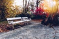 Old wooden bench in city park. natural vintage autumn background Royalty Free Stock Photo