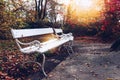 Old wooden bench in city park. natural vintage autumn background Royalty Free Stock Photo