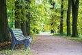 Old wooden painted bench in old park. Summer or early autumn morning in forest with green trees Royalty Free Stock Photo