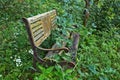 Old wooden bench in the forest Royalty Free Stock Photo