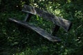 An old wooden bench in overgrown grass
