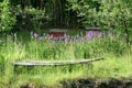 Old wooden bench overgrown by grass in the park. Royalty Free Stock Photo