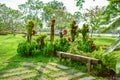 The old wooden bench in the park Royalty Free Stock Photo