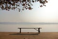 Old wooden bench under the branches beside river in the morning Royalty Free Stock Photo