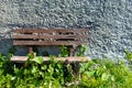 Old wooden bench that was overgrown with grass Royalty Free Stock Photo
