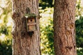 Old Wooden bird house on a tree in the forest. Bird feeder on a tree in one of the parks. Caring for the environment