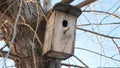 Old wooden birdhouse tree hanging on winter snow landscape