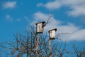 Old wooden birdhouses on a tree Royalty Free Stock Photo