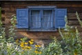 Blue window of a country house overlooking the garden