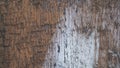 Old wooden board close up with paint stains Royalty Free Stock Photo