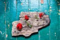 Old wooden board decorated with fir tree on background. Top view copy space Royalty Free Stock Photo