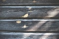 Old wooden board with natural texture, illuminated by the sun Royalty Free Stock Photo