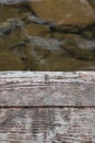 Old wooden board near quiet clear water Royalty Free Stock Photo