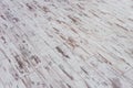 Old wooden board. Wooden wall with a shabby old paint. Fence. Wood texture. Cross section of the tree. Background