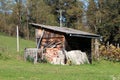 Old wooden boards garden tool shed covered with dilapidated roof tiles surrounded with building material and grass Royalty Free Stock Photo