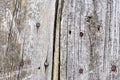 Old wooden boards with nails. Background