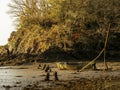 Old wooden boat, abandoned, on River Torridge Estuary, Devon in morning light.