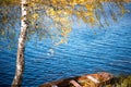 Old wooden boat in autumn Park, trees, fallen leaves and pond, autumn landscape Royalty Free Stock Photo
