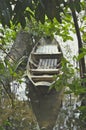 Old wooden boat in the canal with trees surrounded by nature.Wooden boat in the mangrove forest.Sculling Boat in Mangrove.Old