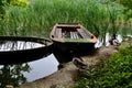old wooden boat full of water and ducks Royalty Free Stock Photo