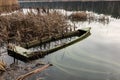 Old wooden boat full of water in the reeds Royalty Free Stock Photo