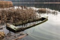 Old wooden boat full of water in the reeds Royalty Free Stock Photo