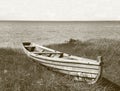 Old wooden boat on the grass near lake bank Royalty Free Stock Photo