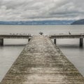 An old wooden boat jetty with gulls and shugs on the Rotorua lake shore in New Zealand  on a stormy day Royalty Free Stock Photo