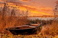 An old wooden boat left near the lake Royalty Free Stock Photo