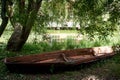 An old wooden boat lies on the shore of the lake. Branches of willow. Beautiful nature.A symbol of abandonment.