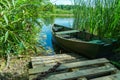 An old wooden boat is moored by the river and the bank overgrown with reeds. Fishing rowing boat in the color of the setting sun. Royalty Free Stock Photo