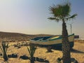 Old wooden boat and palm trees in Cape Verde Royalty Free Stock Photo