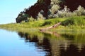 old wooden boat on the river bank against the background of green grass and bushes, reflections in the water Royalty Free Stock Photo