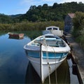 Old wooden boats - New Zealand Royalty Free Stock Photo