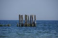 Old wooden breakwater by the sea - rusty water coastal protection