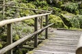 Wooden bridge through the core of a german forest Royalty Free Stock Photo