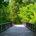 Old wooden bridge in park Royalty Free Stock Photo