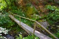 Old wooden bridge crossing a river in middle of the wild forest Royalty Free Stock Photo