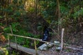 Old wooden bridge crossing a river in middle of the wild forest Royalty Free Stock Photo