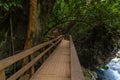 old wooden bridge in deep forest, natural vintage background Royalty Free Stock Photo