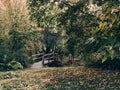 Old wooden bridge in deep forest, natural vintage background. Royalty Free Stock Photo