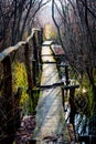 Old wooden bridge in forest Royalty Free Stock Photo